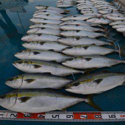 アジアマリンサービス 釣果