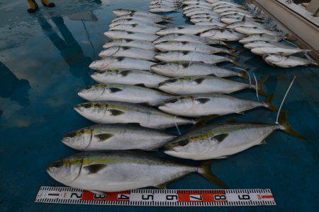 アジアマリンサービス 釣果