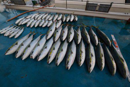 アジアマリンサービス 釣果