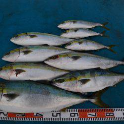 アジアマリンサービス 釣果