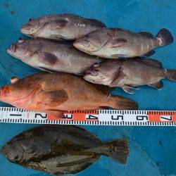 アジアマリンサービス 釣果