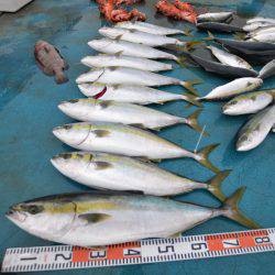 アジアマリンサービス 釣果