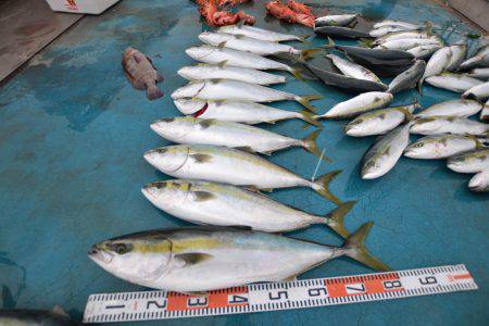 アジアマリンサービス 釣果