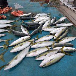 アジアマリンサービス 釣果