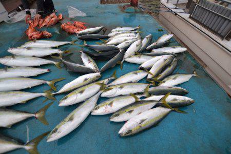 アジアマリンサービス 釣果