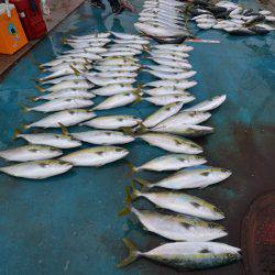 アジアマリンサービス 釣果