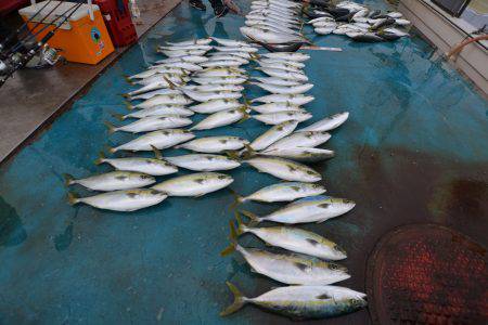 アジアマリンサービス 釣果