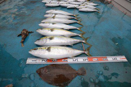 アジアマリンサービス 釣果