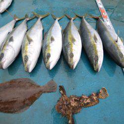 アジアマリンサービス 釣果