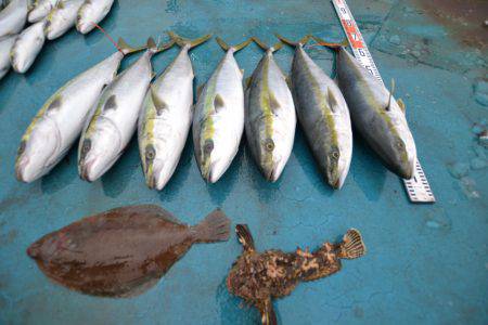 アジアマリンサービス 釣果