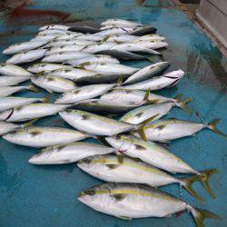 アジアマリンサービス 釣果