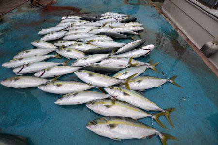 アジアマリンサービス 釣果