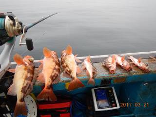 作十丸 釣果