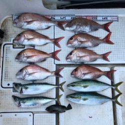 さぶろう丸 釣果