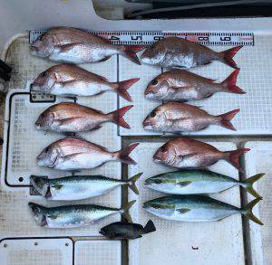 さぶろう丸 釣果