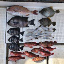 さぶろう丸 釣果