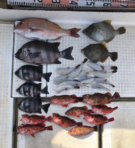 さぶろう丸 釣果