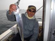 おおせき丸 釣果