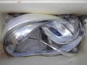 おおせき丸 釣果