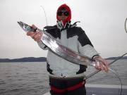 おおせき丸 釣果