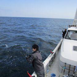 Fisherman Dreams DI 釣果