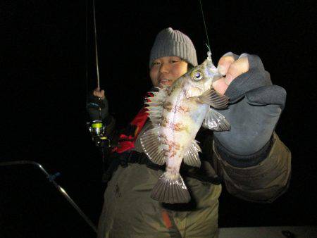 Fisherman Dreams DI 釣果