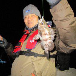 Fisherman Dreams DI 釣果