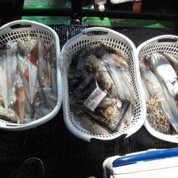 海宝丸 島根 釣果