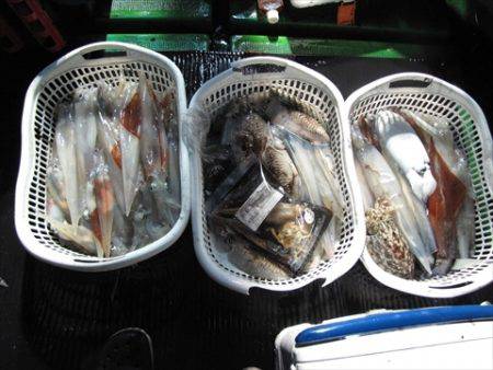 海宝丸 島根 釣果