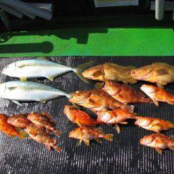 海宝丸 島根 釣果