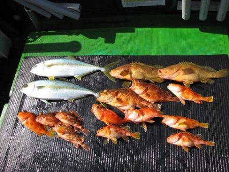 海宝丸　島根 釣果