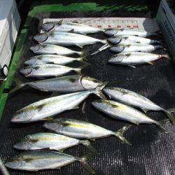 海宝丸　島根 釣果