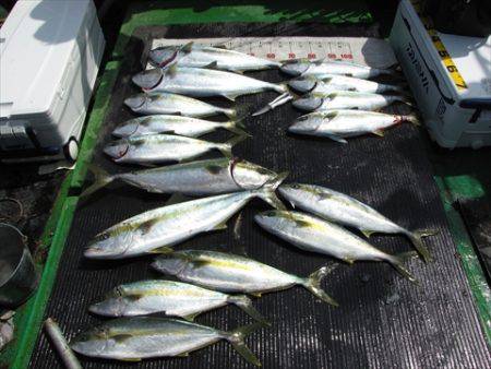 海宝丸　島根 釣果