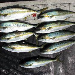 海宝丸　島根 釣果