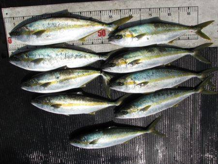 海宝丸　島根 釣果