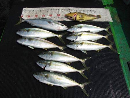 海宝丸 島根 釣果