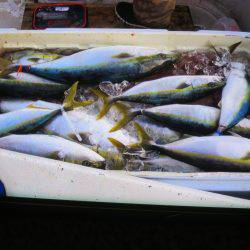 アジアマリンサービス 釣果