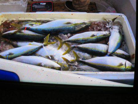 アジアマリンサービス 釣果