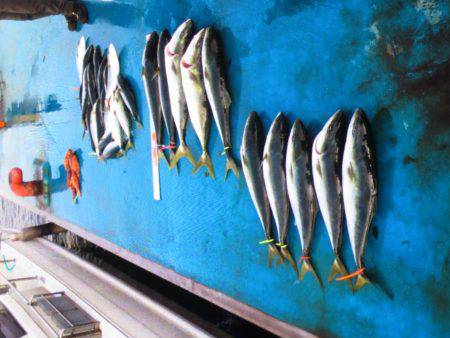 アジアマリンサービス 釣果