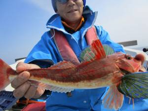 兼六丸 釣果