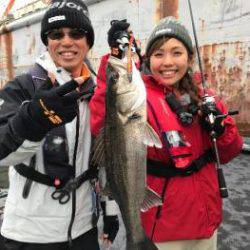 シーマジカル 釣果