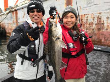 シーマジカル 釣果