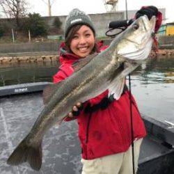 シーマジカル 釣果