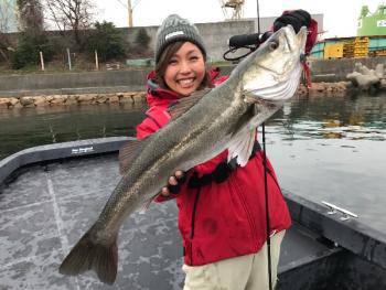 シーマジカル 釣果