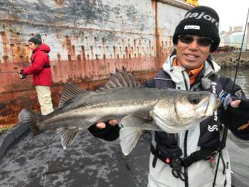 シーマジカル 釣果
