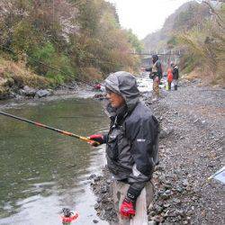 安倍川・藁科川（安倍藁科川漁業協同組合） 釣果