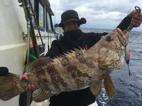 群星・むるぶし 釣果