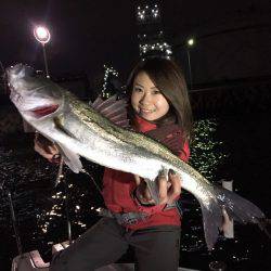 ナイトシーバス【ゆいぽんの連載記事☆★　NO.5】