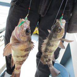 海人丸（うみんちゅまる） 釣果