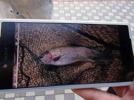 志高湖フィッシング 釣果